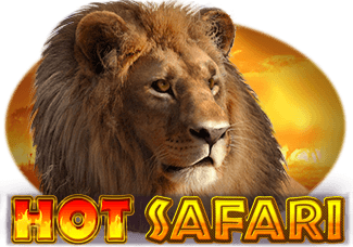 Hot Safari game screenshot